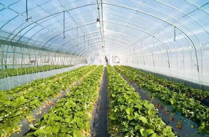有機肥建廠，選原料和輔料一定得考慮這些……